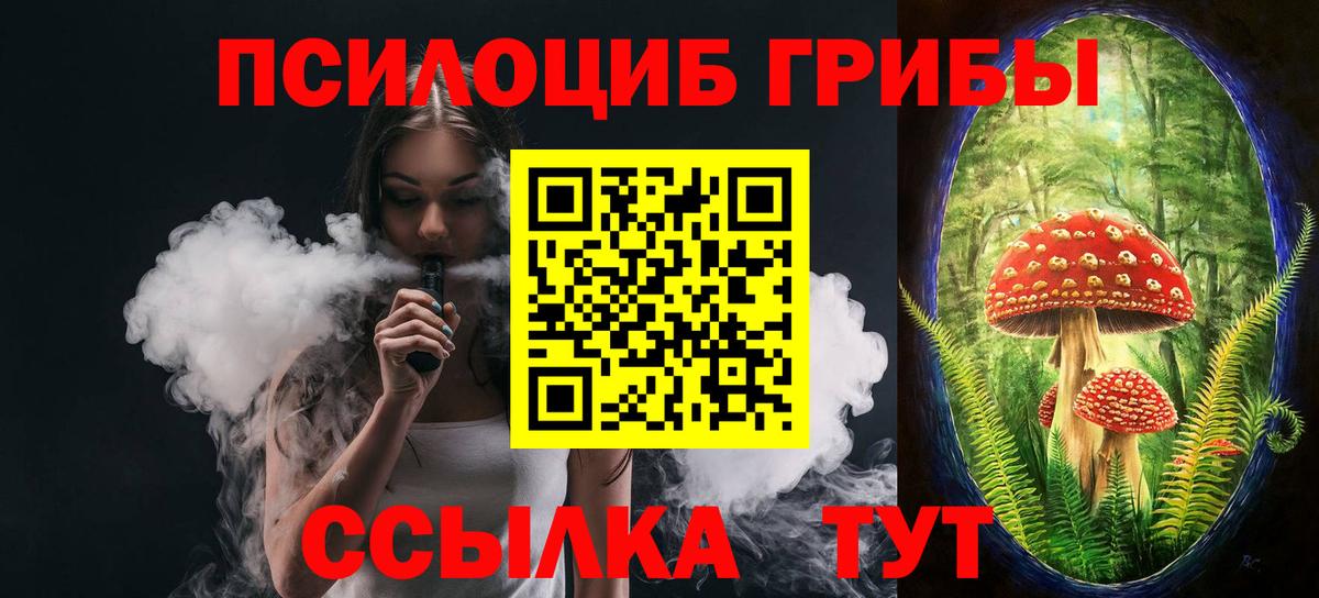 Псилоцибиновые грибы MAGIC MUSHROOMS Печора