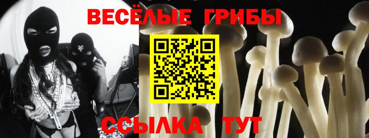 Галлюциногенные грибы Psilocybe  Вход с VPN  Печора  Псилоцибиновые грибы мицелий 
