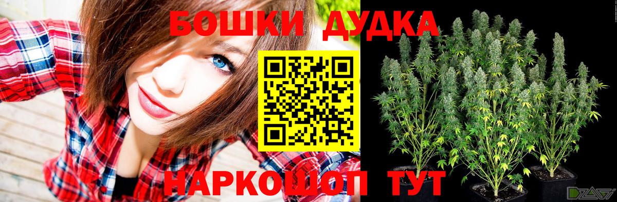 Бошки марихуана конопля  Канабис сатива  Вход с VPN  Канабис White Widow  Печора 